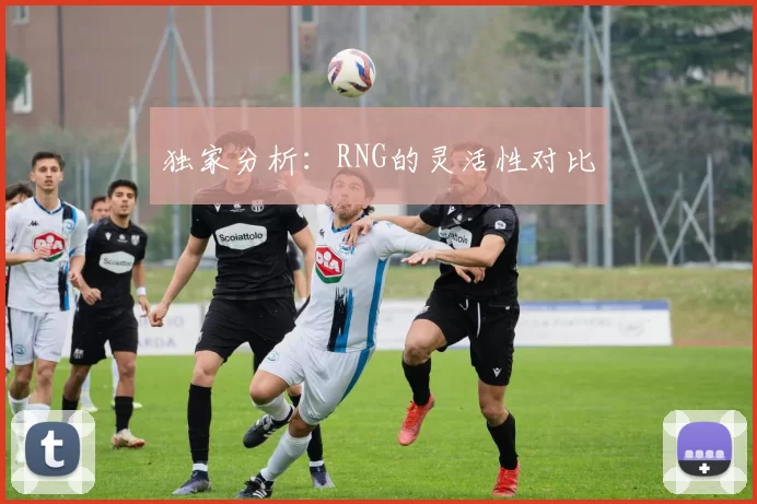 独家分析：RNG的灵活性对比