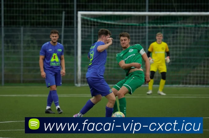 App Interface Preview